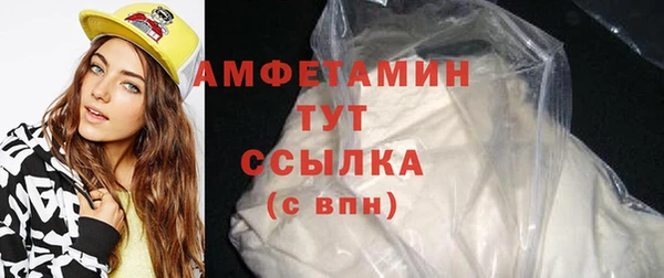ГАЛЛЮЦИНОГЕННЫЕ ГРИБЫ Козловка
