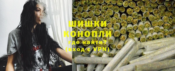 ГАЛЛЮЦИНОГЕННЫЕ ГРИБЫ Козловка