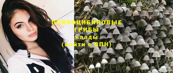 ГАЛЛЮЦИНОГЕННЫЕ ГРИБЫ Козловка