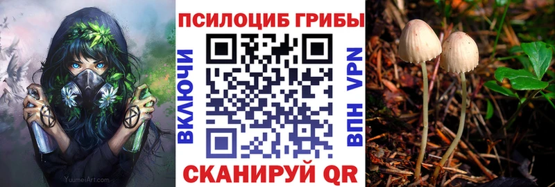 Псилоцибиновые грибы мухоморы  Купить  Суджа 